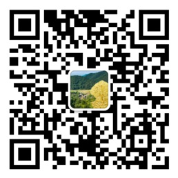 彩神8官网在线登录
